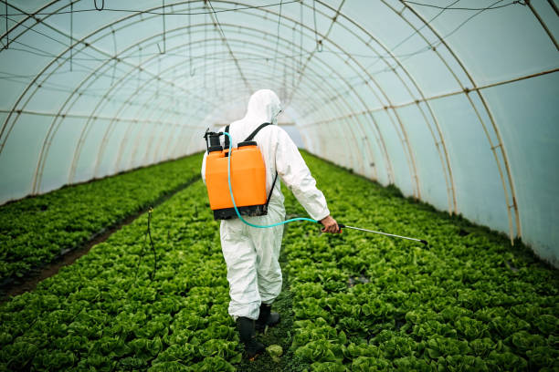 Best Affordable Pest Control Services  in Stanfield, OR