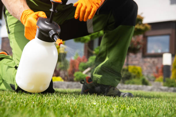 Best Pest Control for Homes  in Stanfield, OR