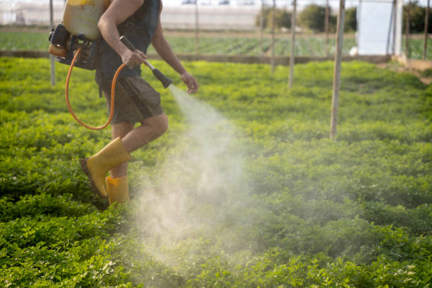Best Best Pest Control Companies  in Stanfield, OR