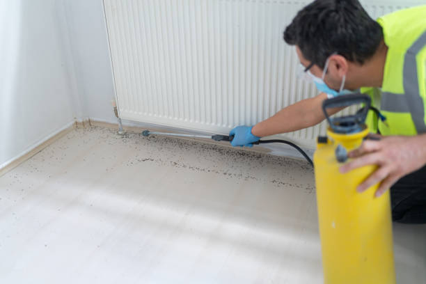 Best Pest Removal Services  in Stanfield, OR
