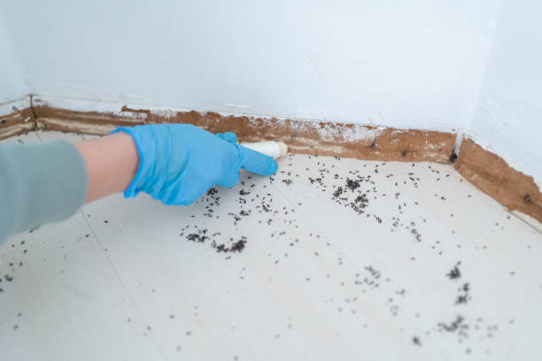 Best Residential Pest Control  in Stanfield, OR