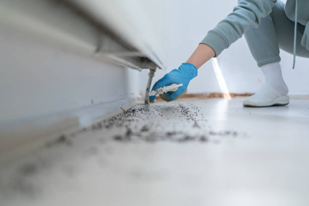 Stanfield, OR Pest Control Company