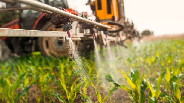 Best Ant Control Services  in Stanfield, OR